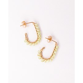 Puces pierres naissance - août