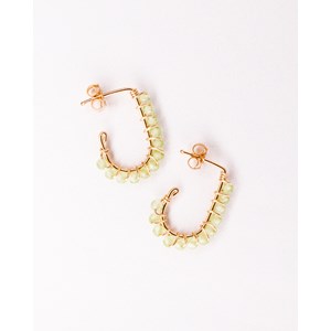 Puces pierres naissance - août