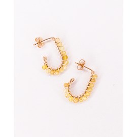 Puces pierres naissance - novembre