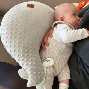 Coussin d'allaitement poule sidonia