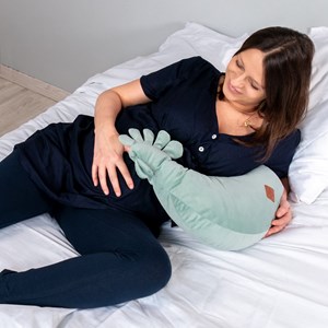 Coussin d'allaitement poule sidonia