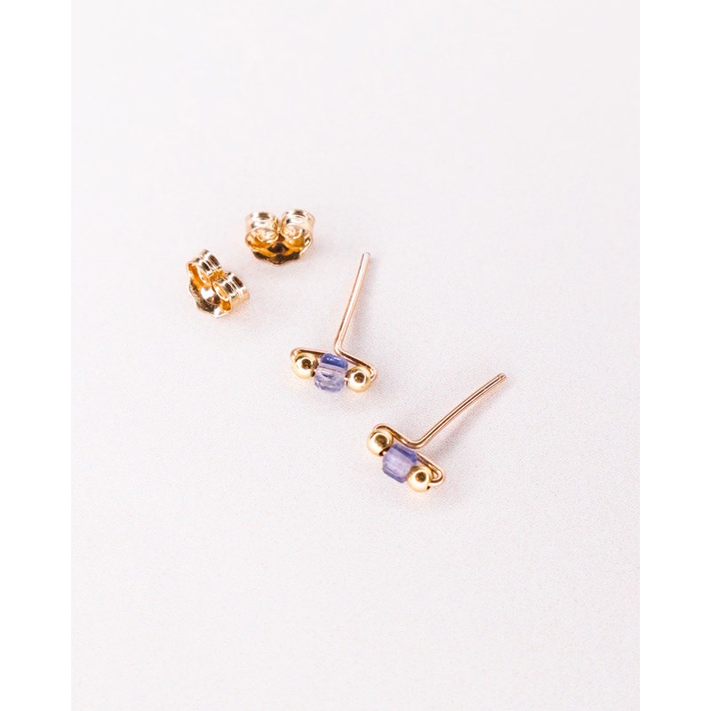 Puces loire or - bleu