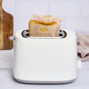 Toaster bag x15