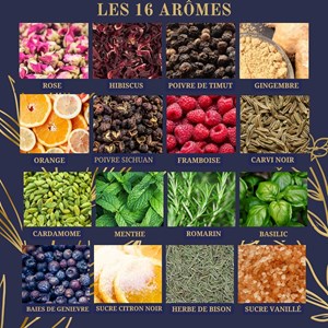 Kit aromatisation gin maison