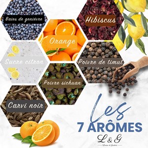 Kit découverte aromatisation gin