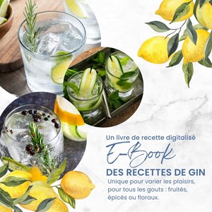 Kit découverte aromatisation gin