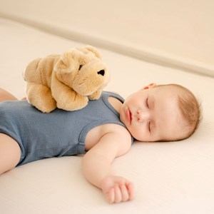 Peluche chien hector plissé miel 20 cm