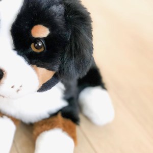 Peluche chien ferdinand assis 28 cm