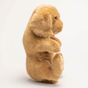 Peluche chien théo cocker boule 30 cm