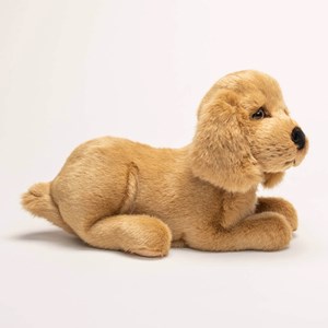Peluche chien théo cocker allongé 35 cm
