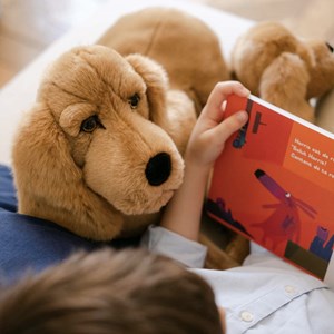 Peluche chien théo cocker allongé 50 cm