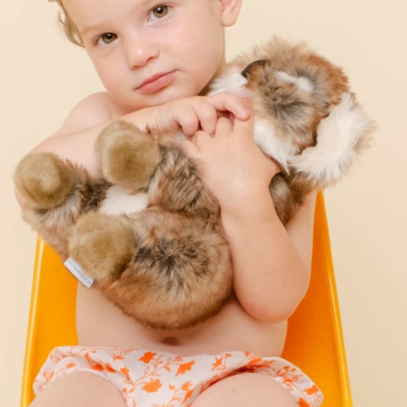 Peluche koala felicien assis 30 cm