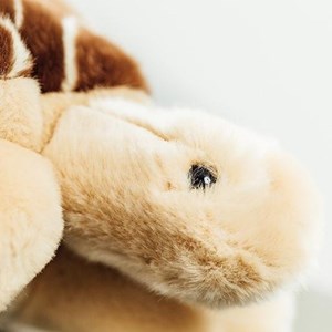 Peluche tortue rosalie 30 cm