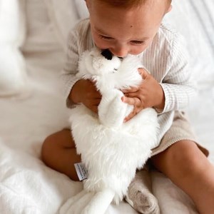 Peluche phoque arsène blanc 30 cm