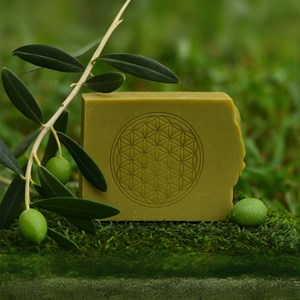 Shampoing bio fleur de vie