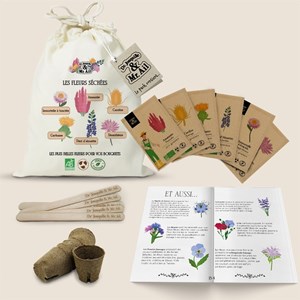 Kit de graines bio - les fleurs séchées