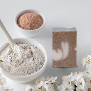 Shampoing bio cheveux secs