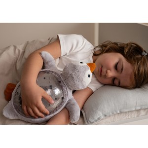 Veilleuse tranquil penguin rechargeable