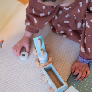 Petit train rayé animaux du zoo Gris