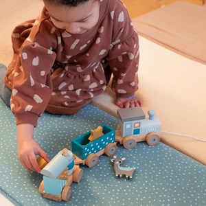 Petit train étoilé animaux du zoo Pétrole