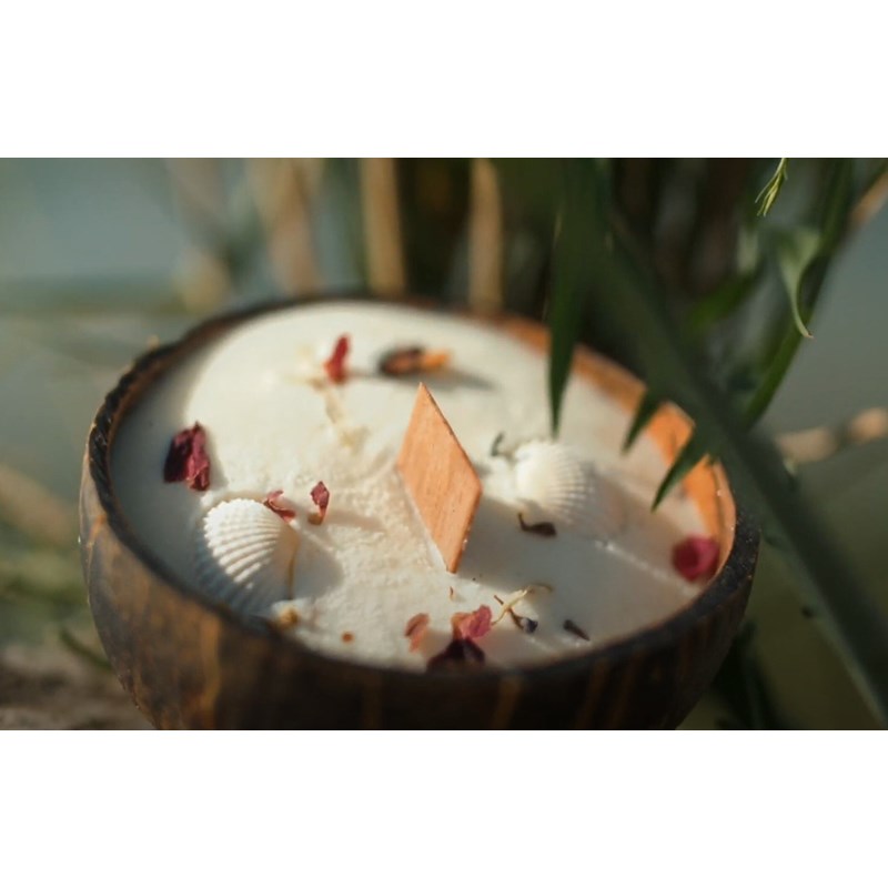 Bougie qui devient plante fleurtiaré