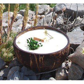 Bougie qui devient plante verveine