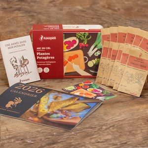 Mélange de graines arc en ciel bio - pla