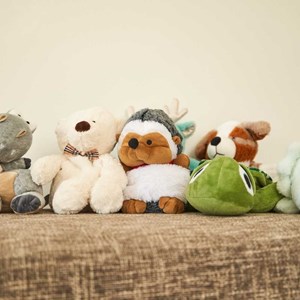 Bouillotte hérisson