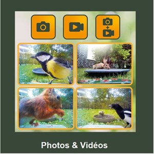Mangeoire à oiseaux birdycam