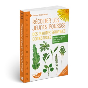 Récolter jeunes plantes sauvages