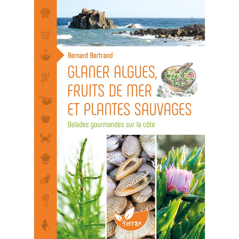 Editions Terran - Glaner algues fruits de mer et plantes