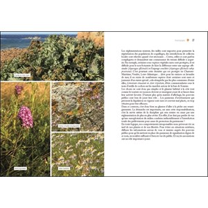 Glaner algues fruits de mer et plantes