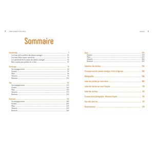 Cuisine sauvage au fil des saisons