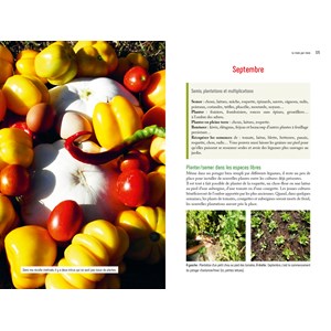 La permaculture au jardin mois par mois