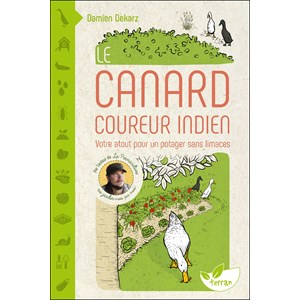 Le canard coureur indien