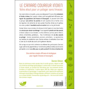 Le canard coureur indien