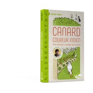 Le canard coureur indien