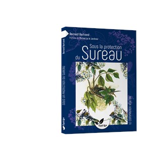 Sous la protection du sureau