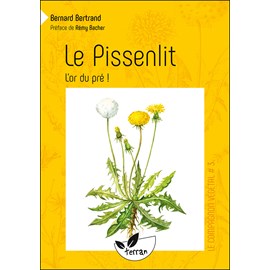 Le pissenlit, l'or du pré !