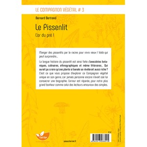 Le pissenlit, l'or du pré !