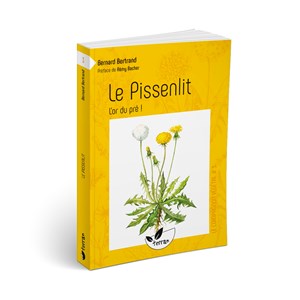 Le pissenlit, l'or du pré !