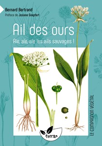 Ail des ours, les ails sauvages !