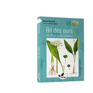 Ail des ours, les ails sauvages !
