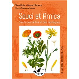 Souci arnica soleils jardins montagnes