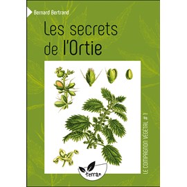 Les secrets de l'ortie