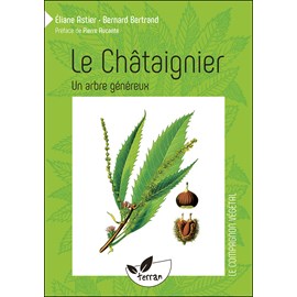 Le châtaignier, un arbre généreux