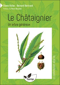 Le châtaignier, un arbre généreux