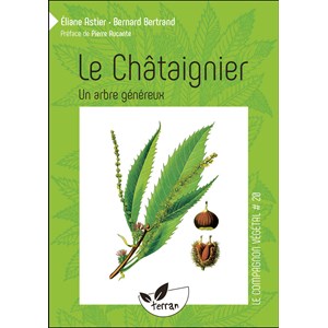Le châtaignier, un arbre généreux