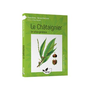 Le châtaignier, un arbre généreux