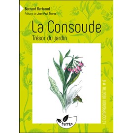 La consoude, trésor du jardin